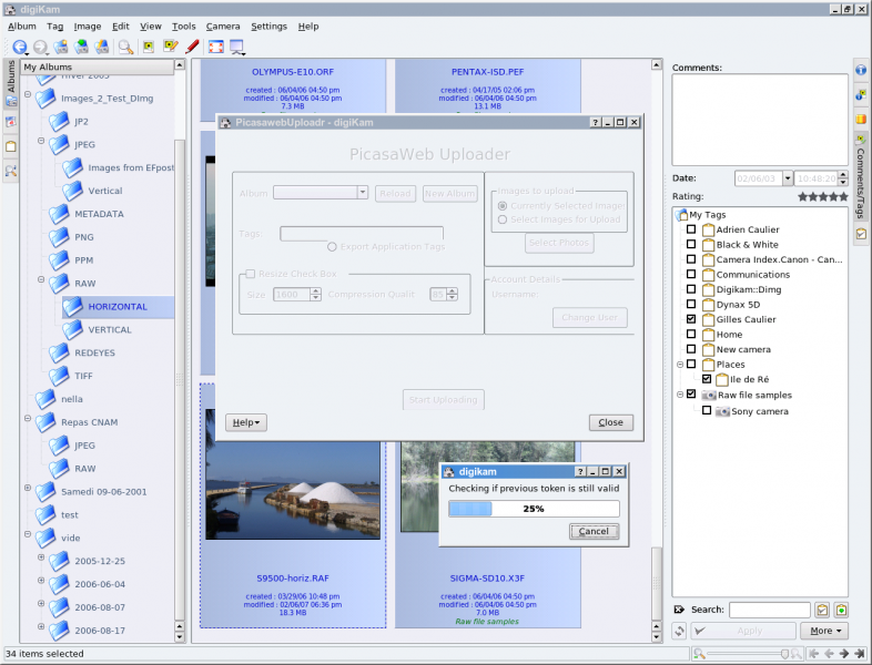 New PicasaWeb export plugin in action